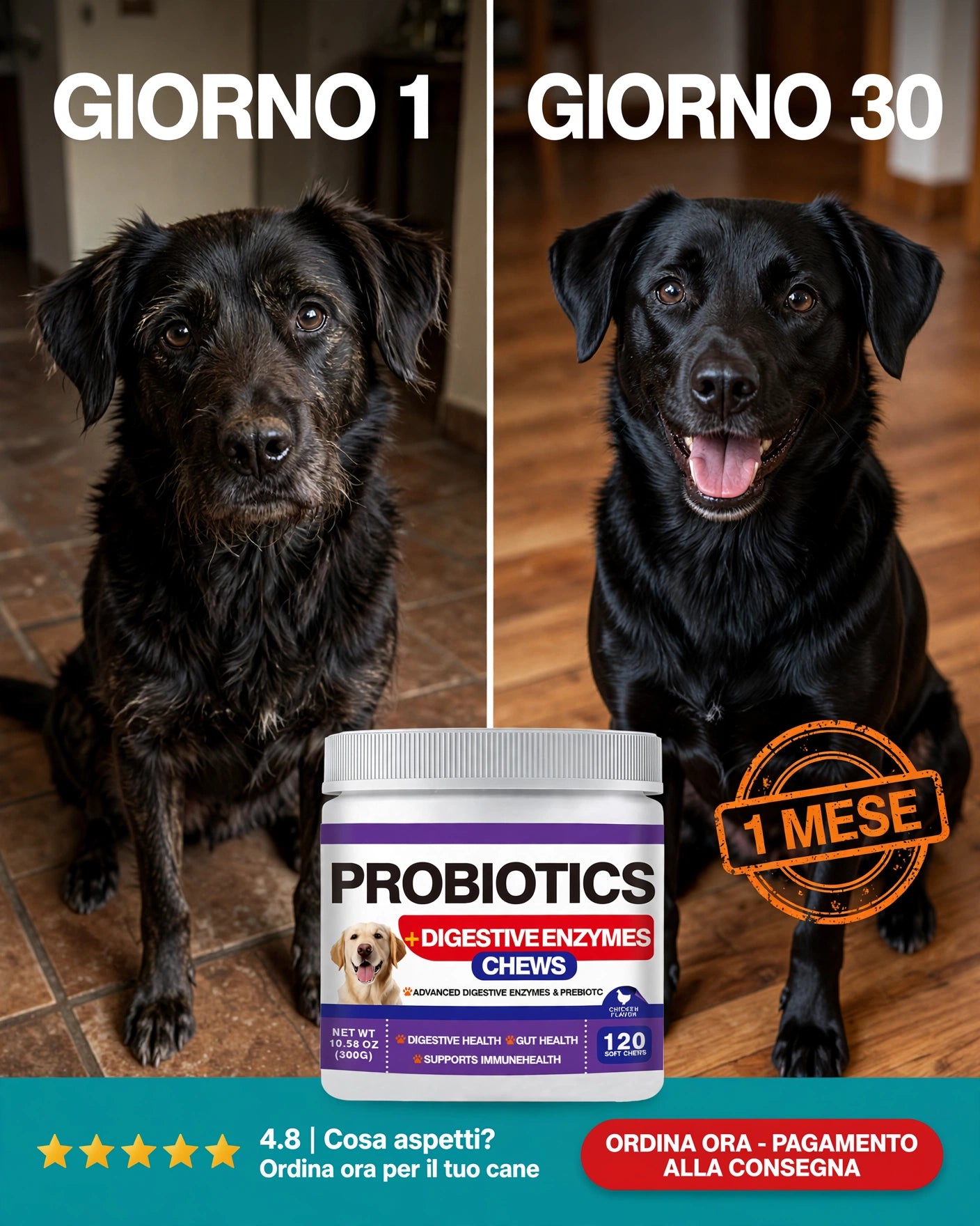 ProbioDigest™ - Fermenti Lattici e Enzimi Digestivi per Cani | 120 Masticabili | Anti Coprofagia e Alito Fresco